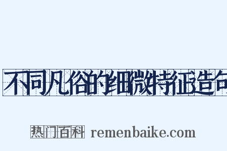 不同凡俗的细微特征造句是什么意思的图片
